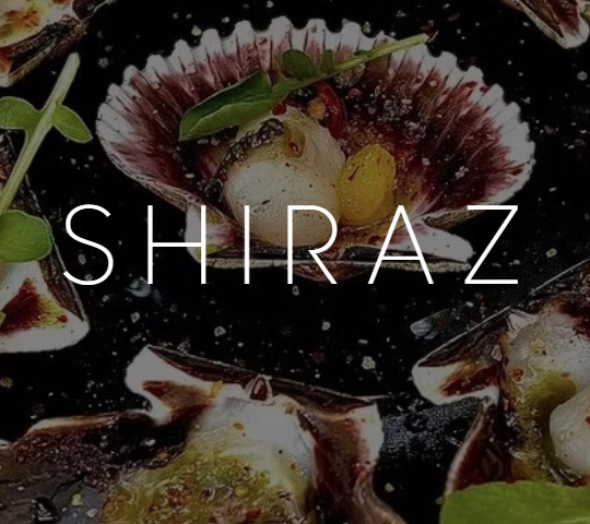 SHIRAZ Wine & Gastrobar