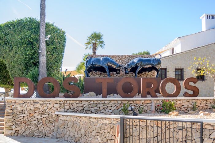 Dos Toros